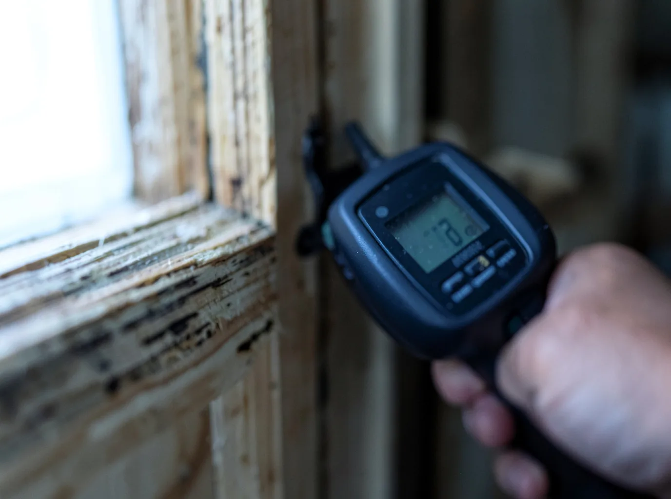 Ceiling Water Damage Repair in Salineno, TX